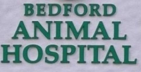 Bedford Animal Hospital (1190916)